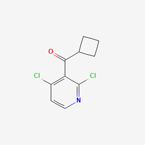 molecular formula C10H9Cl2NO B15055676 Cyclobutyl(2,4-dichloropyridin-3-yl)methanone 