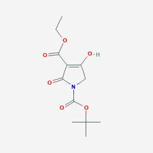 molecular formula C12H17NO6 B15056365 1-tert-Butyl 3-ethyl 4-hydroxy-2-oxo-1H-pyrrole-1,3(2H,5H)-dicarboxylate 