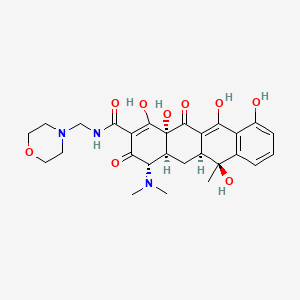 Morphocycline