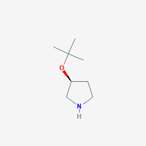 molecular formula C8H17NO B15060135 (3S)-3-(1,1-dimethylethoxy)Pyrrolidine 