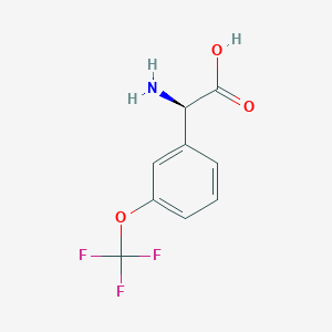 molecular formula C9H8F3NO3 B15061338 (2R)-2-Amino-2-[3-(trifluoromethoxy)phenyl]acetic acid 