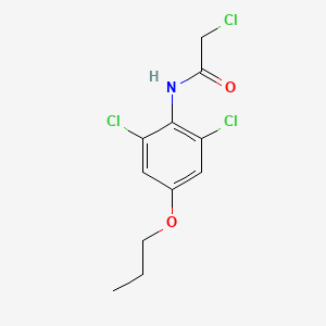 molecular formula C11H12Cl3NO2 B15062680 2-Chloro-N-(2,6-dichloro-4-propoxyphenyl)acetamide 