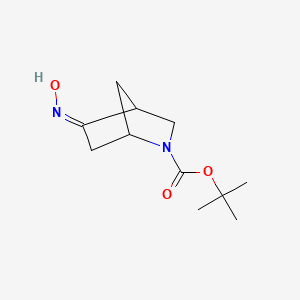 molecular formula C11H18N2O3 B15067631 tert-butyl (5Z)-5-hydroxyimino-2-azabicyclo[2.2.1]heptane-2-carboxylate 