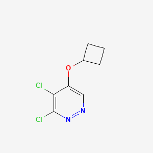 3,4-Dichloro-5-cyclobutoxypyridazine