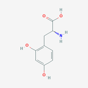 molecular formula C9H11NO4 B1507161 (2R)-2-amino-3-(2,4-dihydroxyphenyl)propanoic acid 