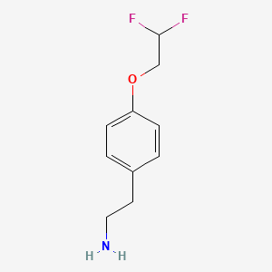 molecular formula C10H13F2NO B15072975 2-[4-(2,2-Difluoroethoxy)phenyl]ethylamine 