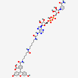 molecular formula C56H64N10O22P2 B15073621 Fluorescein-NAD+ 