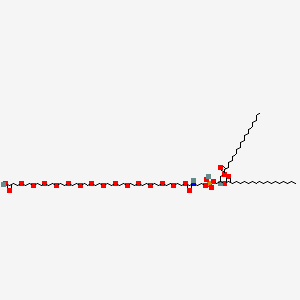 molecular formula C73H142NO26P B15073766 Dspe-peg14-cooh 