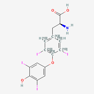 molecular formula C15H11I4NO4 B15074060 (2S)-2-amino-3-[4-(4-hydroxy-3,5-diiodophenoxy)-3,5-diiodo(1,2,3,4,5,6-13C6)cyclohexa-1,3,5-trien-1-yl]propanoic acid 