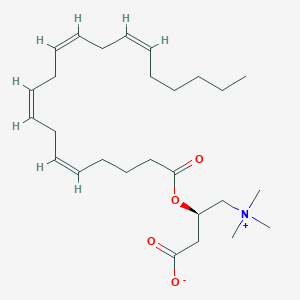 molecular formula C27H45NO4 B15074170 Arachidonoylcarnitine CAS No. 36816-11-2