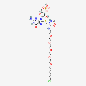 cGMP-HTL