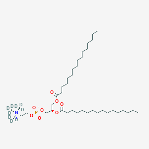 molecular formula C40H80NO8P B15074185 Colfosceril-d9 Palmitate 