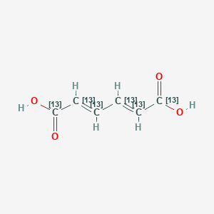 (2E,4E)-(1,2,3,4,5,6-13C6)hexa-2,4-dienedioic acid