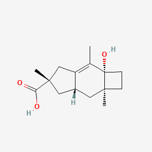 molecular formula C15H22O3 B15074801 Sterpuric acid CAS No. 79367-59-2