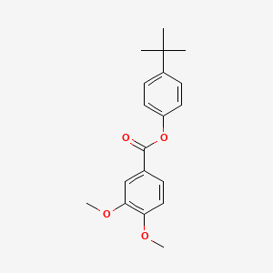 molecular formula C19H22O4 B15075274 4-Tert-butylphenyl 3,4-dimethoxybenzoate CAS No. 385373-36-4