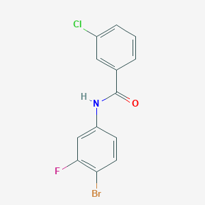 molecular formula C13H8BrClFNO B1508106 3-Chloro-N-(3-fluoro-4-bromophenyl)benzamide 