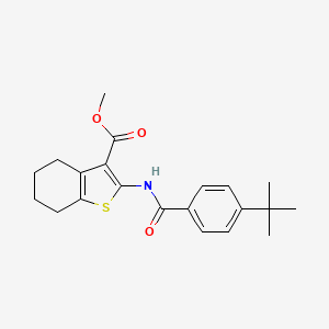 Methyl 2-{[(4-tert-butylphenyl)carbonyl]amino}-4,5,6,7-tetrahydro-1-benzothiophene-3-carboxylate