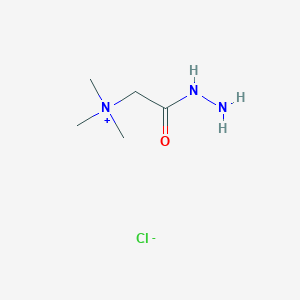 molecular formula C5H14ClN3O B150828 吉拉德试剂T CAS No. 123-46-6