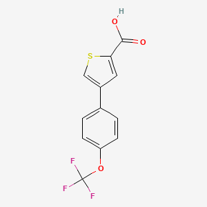 molecular formula C12H7F3O3S B15087446 4-[4-(trifluoromethoxy)phenyl]thiophene-2-carboxylic Acid CAS No. 666721-06-8