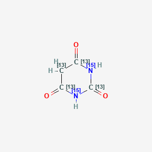 molecular formula C4H4N2O3 B15088248 Barbituric Acid-[13C4,15N2] 