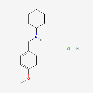 molecular formula C14H22ClNO B15089595 N-[(4-Methoxyphenyl)methyl]cyclohexanamine hydrochloride CAS No. 5442-64-8