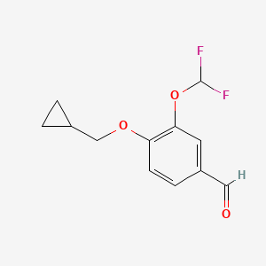 molecular formula C12H12F2O3 B15089611 4-(Cyclopropylmethoxy)-3-(difluoromethoxy)benzaldehyde 