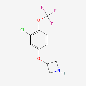 3-[3-Chloro-4-(trifluoromethoxy)phenoxy]azetidine