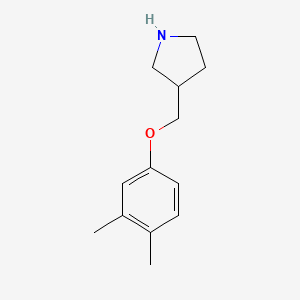 molecular formula C13H19NO B15090518 3-[(3,4-Dimethylphenoxy)methyl]pyrrolidin 