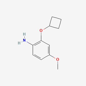 2-Cyclobutoxy-4-methoxyaniline