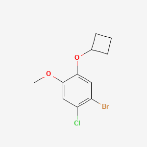 molecular formula C11H12BrClO2 B15091166 1-Bromo-2-chloro-5-cyclobutoxy-4-methoxybenzene 