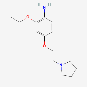 molecular formula C14H22N2O2 B15091388 2-Ethoxy-4-[2-(pyrrolidin-1-yl)ethoxy]aniline 