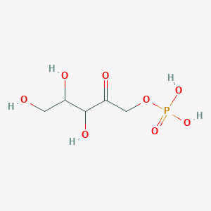 molecular formula C5H11O8P B15091506 D-Xylulose 1-phosphate 