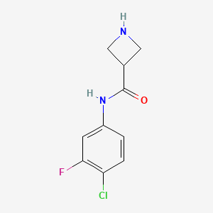 molecular formula C10H10ClFN2O B15091546 N-(4-chloro-3-fluorophenyl)azetidine-3-carboxamide 