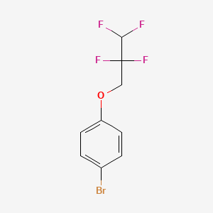 molecular formula C9H7BrF4O B15092081 1-Bromo-4-(2,2,3,3-tetrafluoropropoxy)benzene 