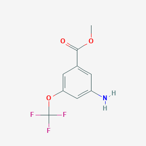 molecular formula C9H8F3NO3 B15092294 Methyl 3-amino-5-(trifluoromethoxy)benzoate 