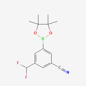 molecular formula C14H16BF2NO2 B15092939 3-(Difluoromethyl)-5-(4,4,5,5-tetramethyl-1,3,2-dioxaborolan-2-yl)benzonitrile CAS No. 1220696-59-2