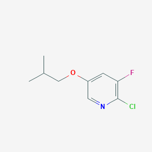 molecular formula C9H11ClFNO B15093023 2-Chloro-3-fluoro-5-isobutoxypyridine 