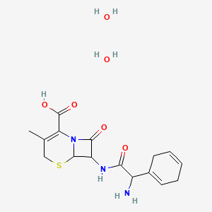 molecular formula C16H23N3O6S B15093206 7-[(2-Amino-2-cyclohexa-1,4-dien-1-ylacetyl)amino]-3-methyl-8-oxo-5-thia-1-azabicyclo[4.2.0]oct-2-ene-2-carboxylic acid;dihydrate 