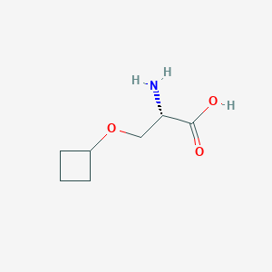 molecular formula C7H13NO3 B15093676 N-Fmoc-L-Ser(Cyclobutyl)-OH 