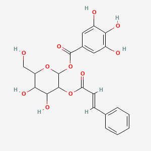 2-O-cinnamoyl-1-O-galloyl-beta-D-glucose