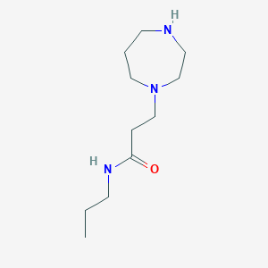 molecular formula C11H23N3O B15095377 3-(1,4-Diazepan-1-YL)-N-propylpropanamide CAS No. 89009-74-5