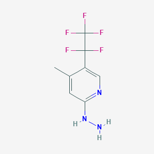 molecular formula C8H8F5N3 B15095950 (4-Methyl-5-pentafluoroethyl-pyridin-2-yl)-hydrazine 