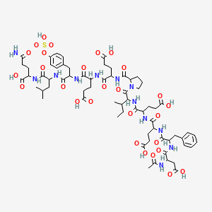 molecular formula C66H92N12O28S B15096122 Ac-DL-Asp-DL-Phe-DL-Glu-DL-Glu-DL-xiIle-DL-Pro-DL-Glu-DL-Glu-DL-Tyr(SO3H)-DL-Leu-DL-Gln-OH 