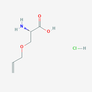 (S)-3-(Allyloxy)-2-aminopropanoic acid hydrochloride