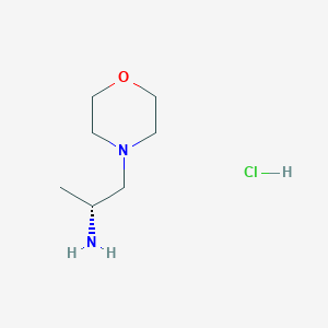 molecular formula C7H17ClN2O B1509640 (R)-1-Morpholinopropan-2-amine hydrochloride 