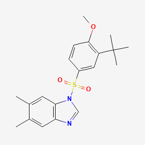 1-{[3-(Tert-butyl)-4-methoxyphenyl]sulfonyl}-5,6-dimethylbenzimidazole