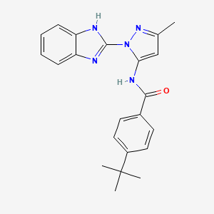 N-[1-(1H-benzimidazol-2-yl)-3-methyl-1H-pyrazol-5-yl]-4-tert-butylbenzamide