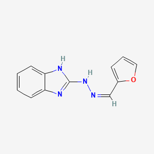 molecular formula C12H10N4O B15098460 2-[(2Z)-2-(furan-2-ylmethylidene)hydrazinyl]-1H-benzimidazole 