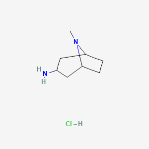 molecular formula C8H17ClN2 B1510237 8-Methyl-8-azabicyclo[3.2.1]octan-3-amine;hydrochloride 