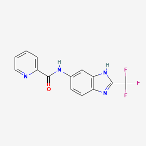 N-[2-(trifluoromethyl)-1H-benzimidazol-5-yl]pyridine-2-carboxamide